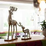 Wander- Und Erika Hotel