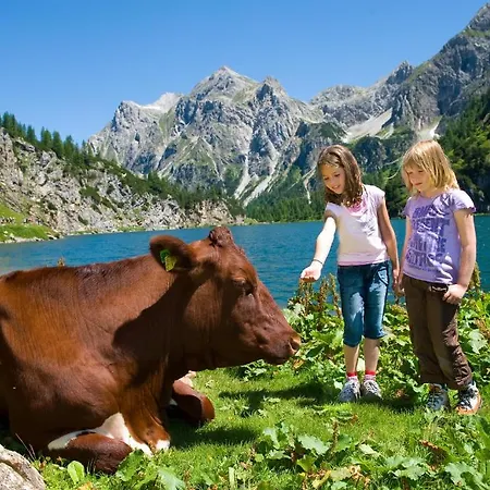 Wander- Und Erika 3* Wagrain