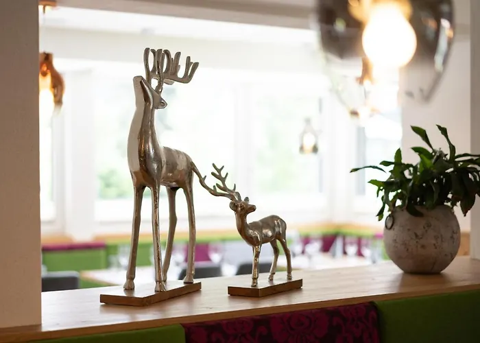 Wander- Und Erika Hotel